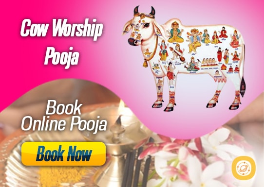 Cow Worship Pooja